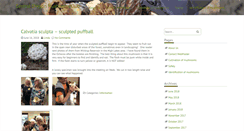 Desktop Screenshot of mushroomsinbend.org